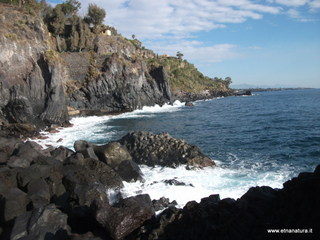 nta Maria la Scala-25-02-2013 08-53-38